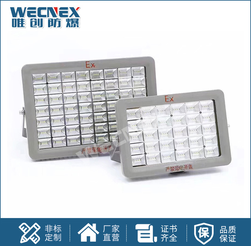 BWD97防爆LED照明燈20W-300W