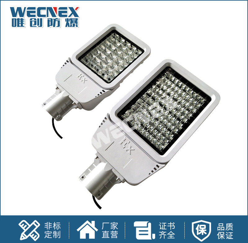 BWD97防爆LED照明燈20W-300W