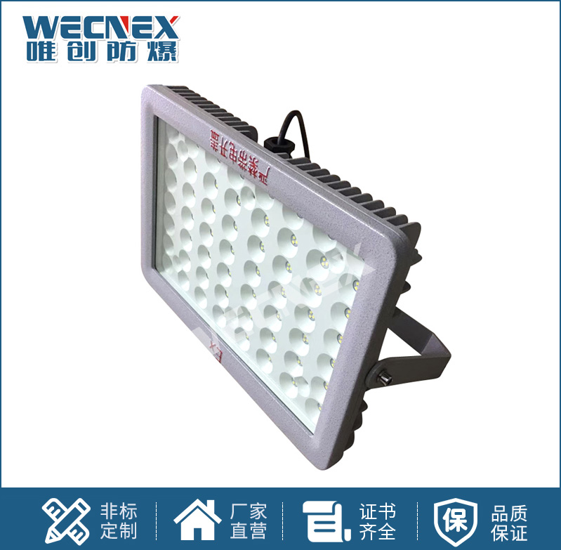BWD97防爆LED照明燈20W-300W