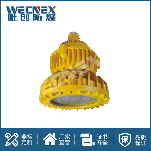 免維護防爆燈DFC-8103A