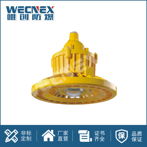 免維護防爆燈DFC-8101C