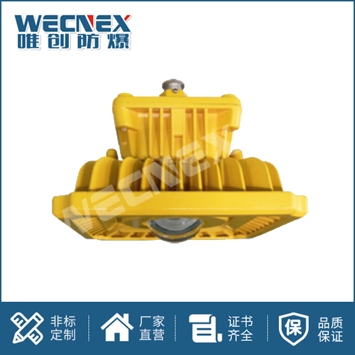 免維護(hù)防爆燈DFC-8102B