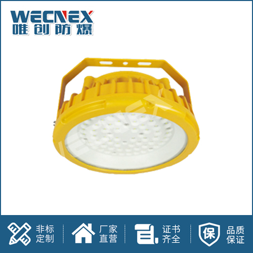 免維護(hù)防爆燈DFC-8104A