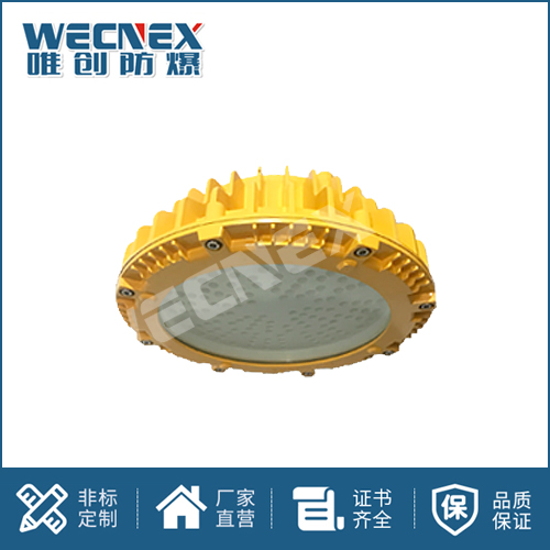 免維護(hù)防爆燈DFC-8104B