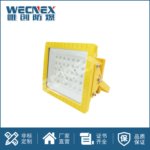 免維護防爆燈DFC-8111A