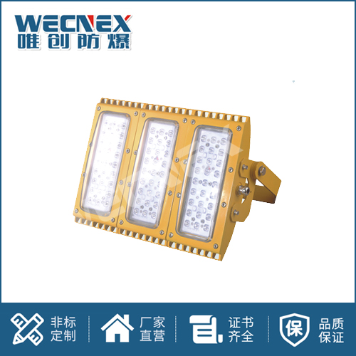 免維護(hù)防爆燈DFC-8113