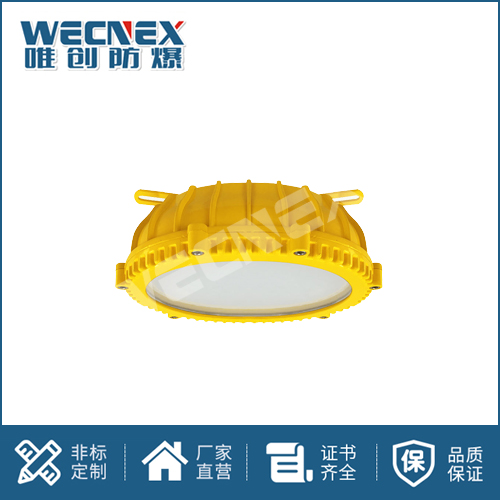 免維護防爆燈DFC-8183B