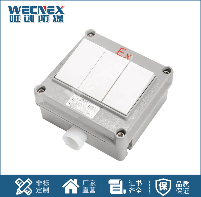 BQM防爆墻壁開關