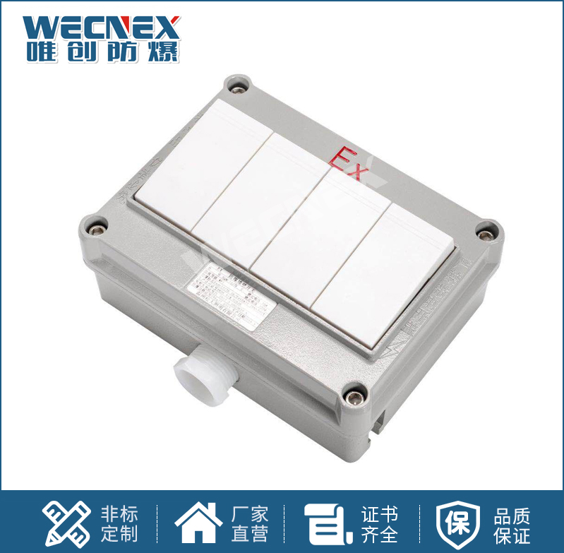 BQM防爆墻壁開關