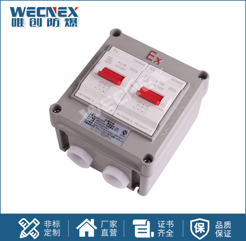 BQM防爆墻壁開關(guān)