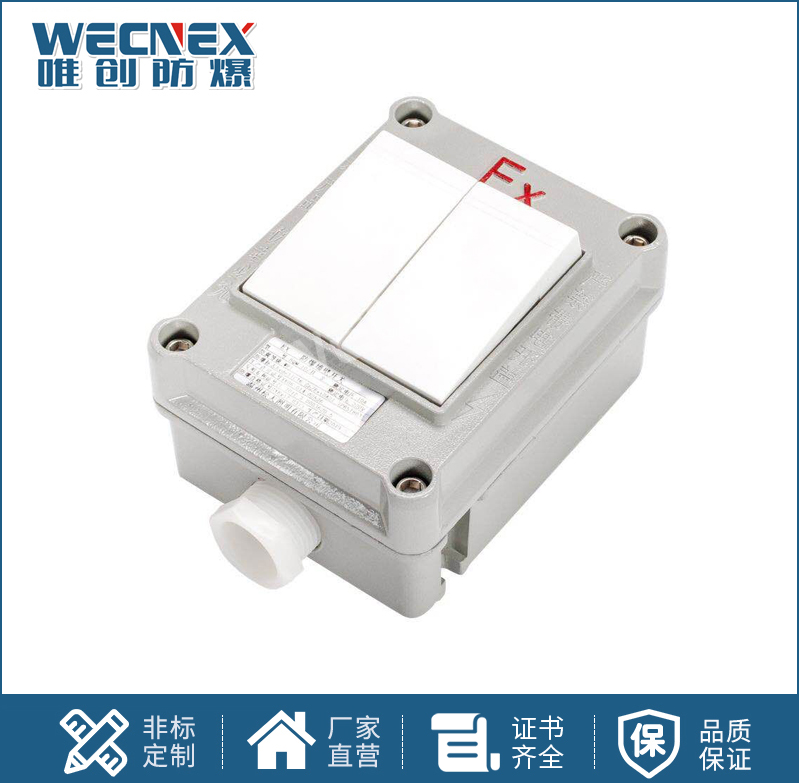 BQM防爆墻壁開關(guān)