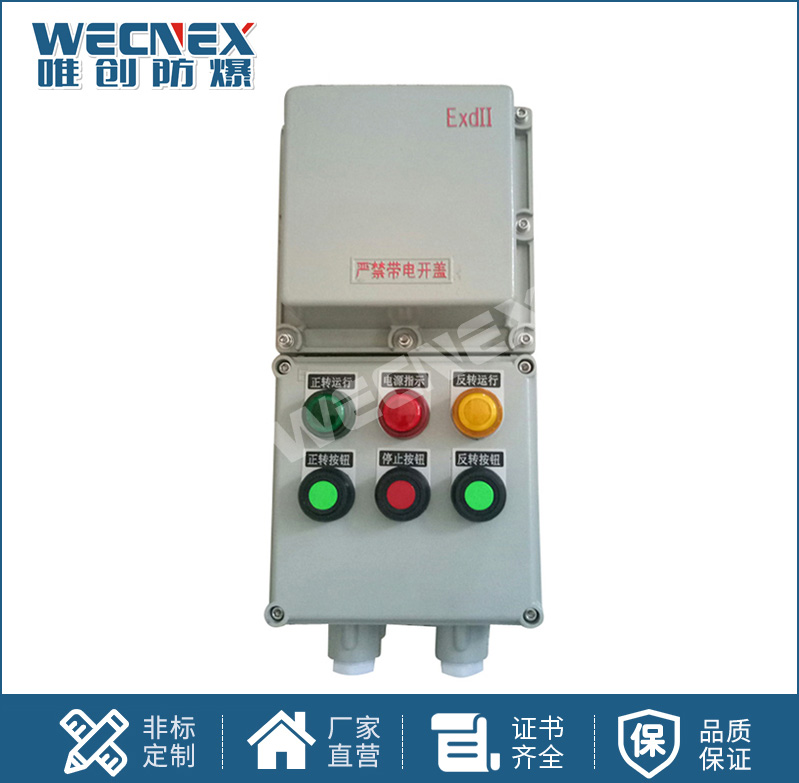 BDZ52防爆斷路器