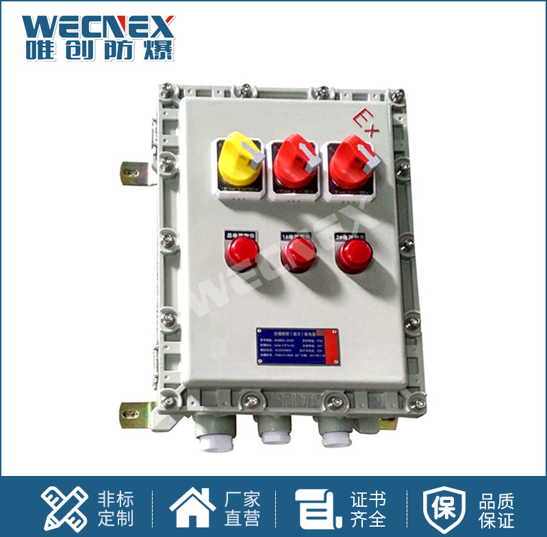 BDZ52防爆斷路器