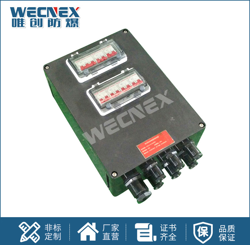 FXM防水防塵防腐配電箱 工程塑料材質(zhì)