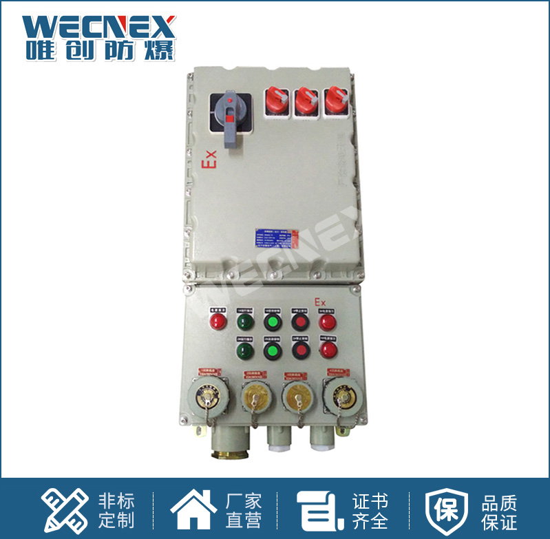 BXS防爆檢修電源插座箱