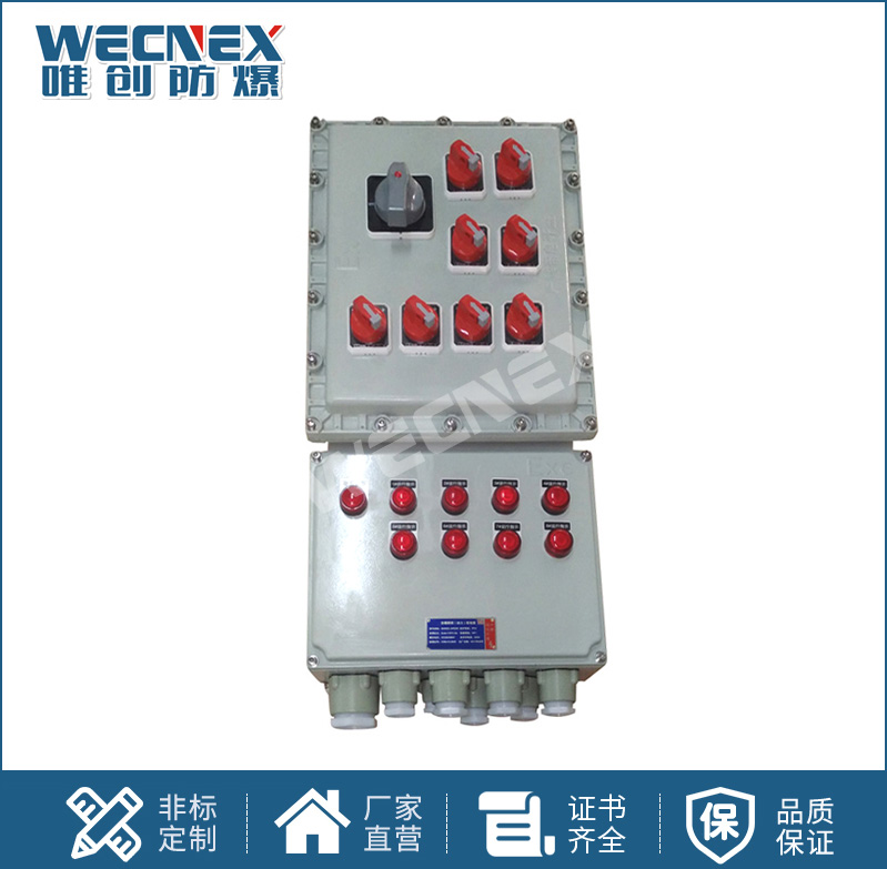 BXX 防爆動力檢修箱