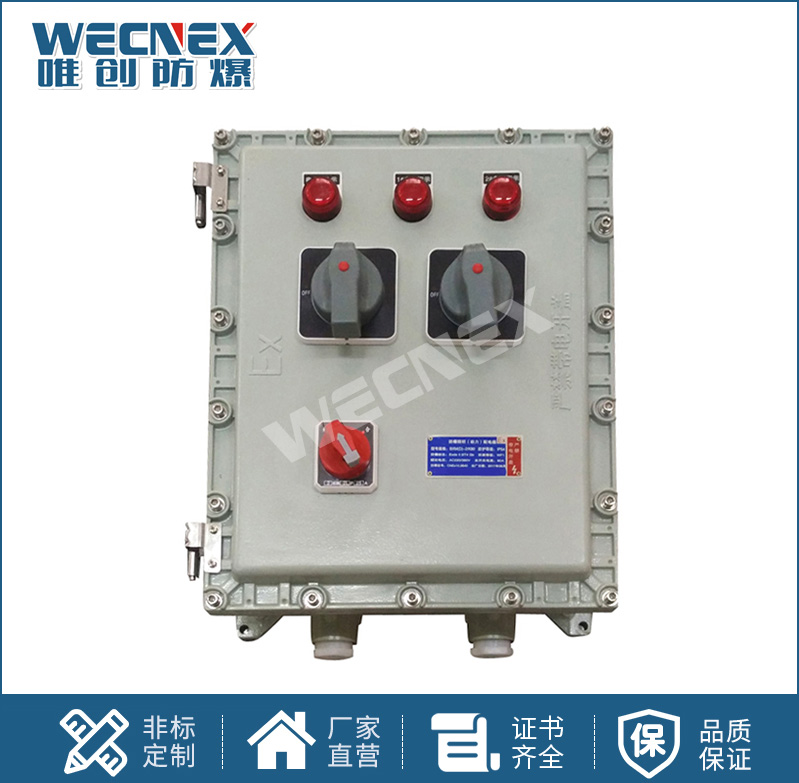BXX 防爆動(dòng)力檢修箱