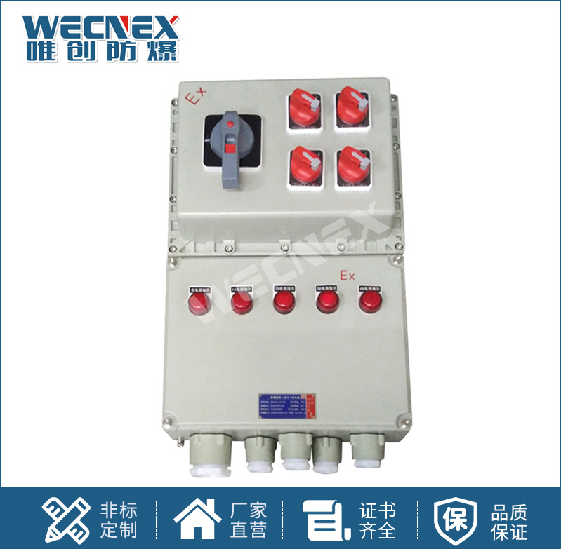 BXX 防爆動力檢修箱