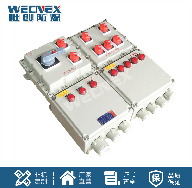 BXX 防爆動力檢修箱
