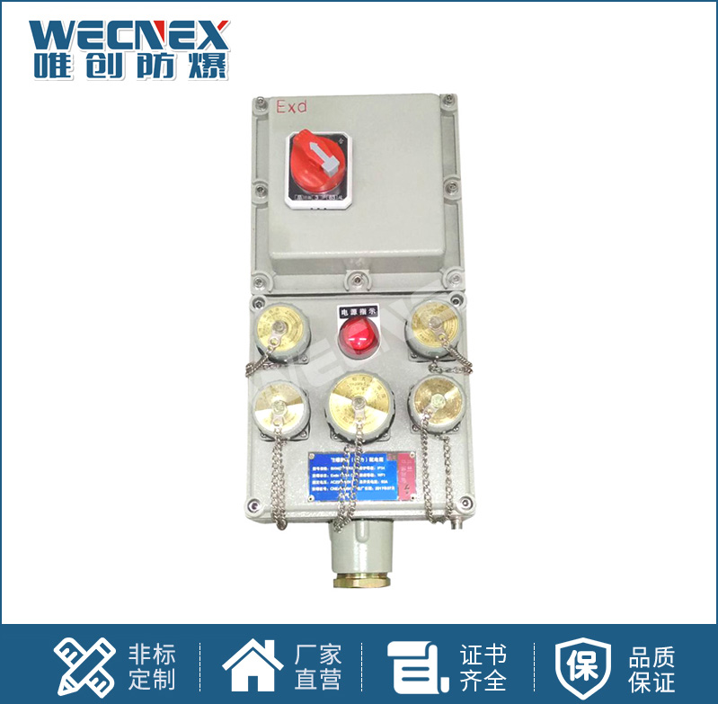 BXS防爆檢修電源插座箱