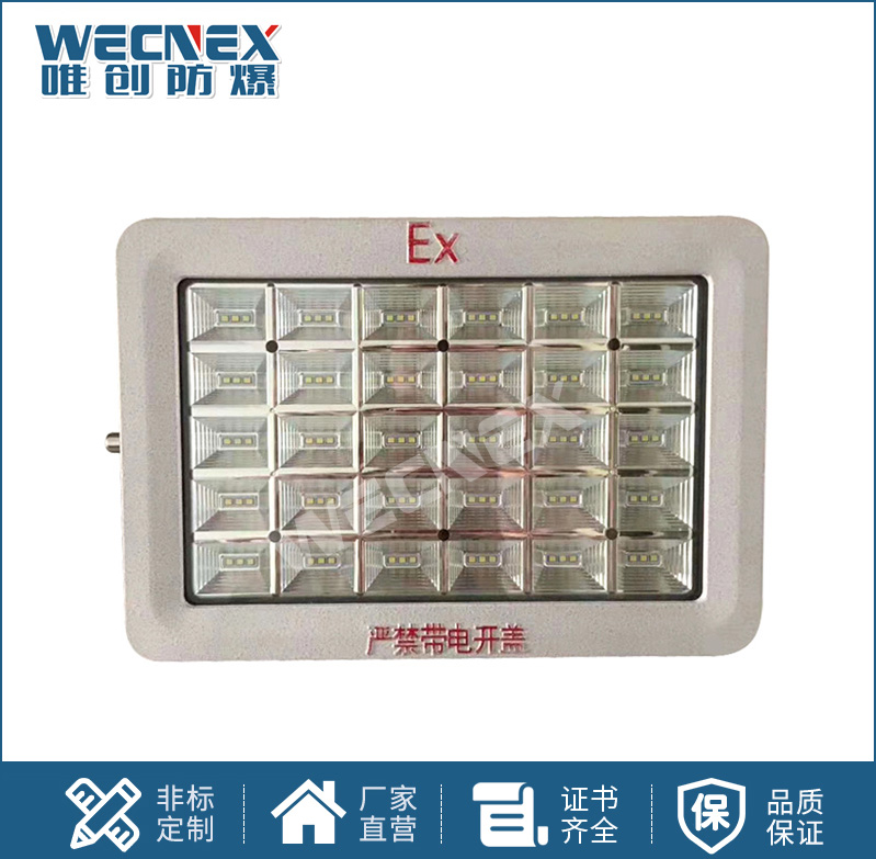 BWD97防爆LED照明燈20W-300W