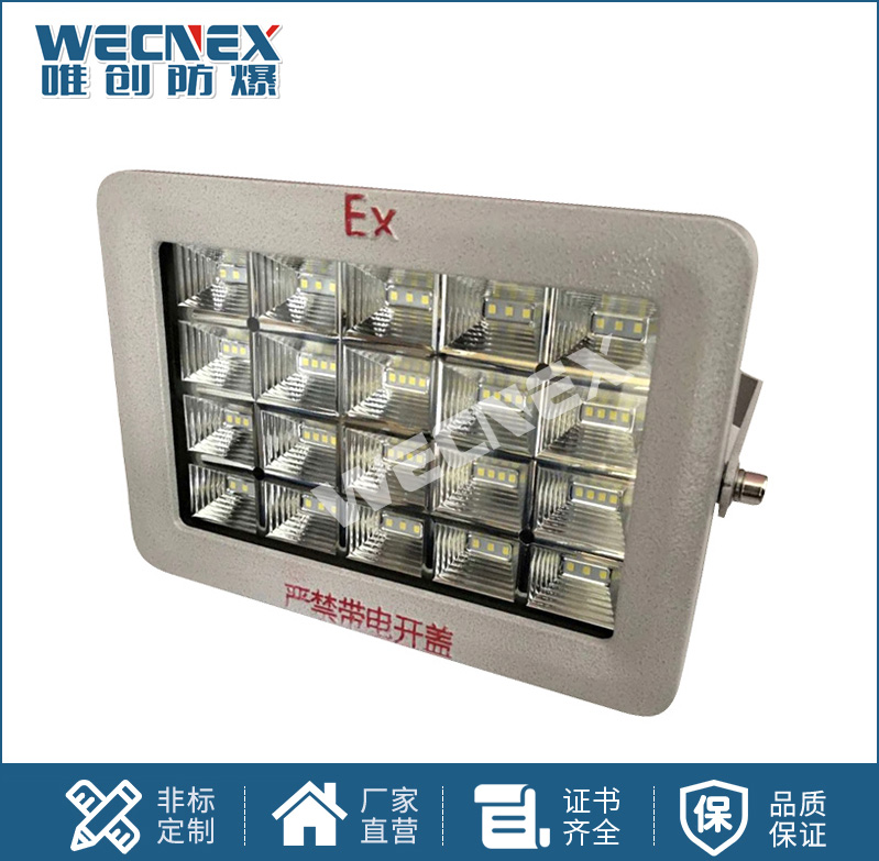 BWD97防爆LED照明燈20W-300W