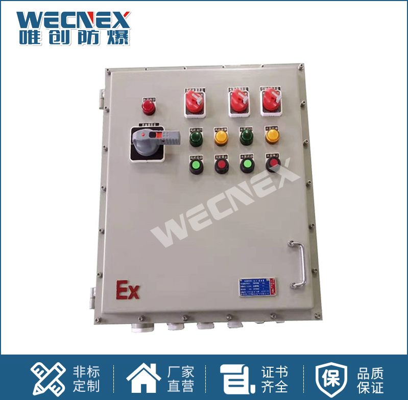 BXM(D)碳鋼材質 防爆照明（動力）配電箱