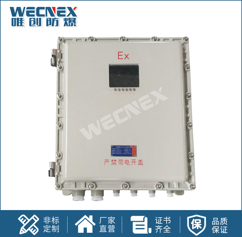 BXK 防爆儀表箱