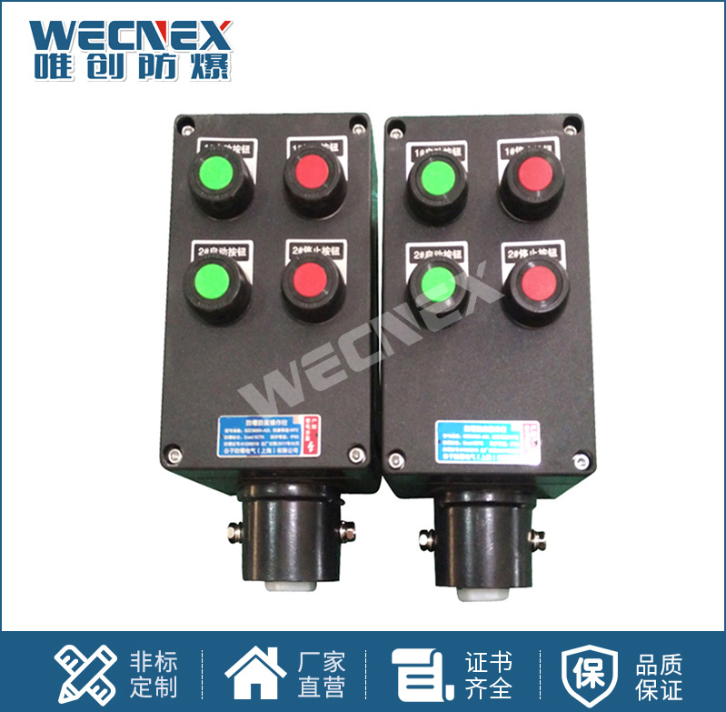 BXK8050工程塑料 防爆防腐控制箱