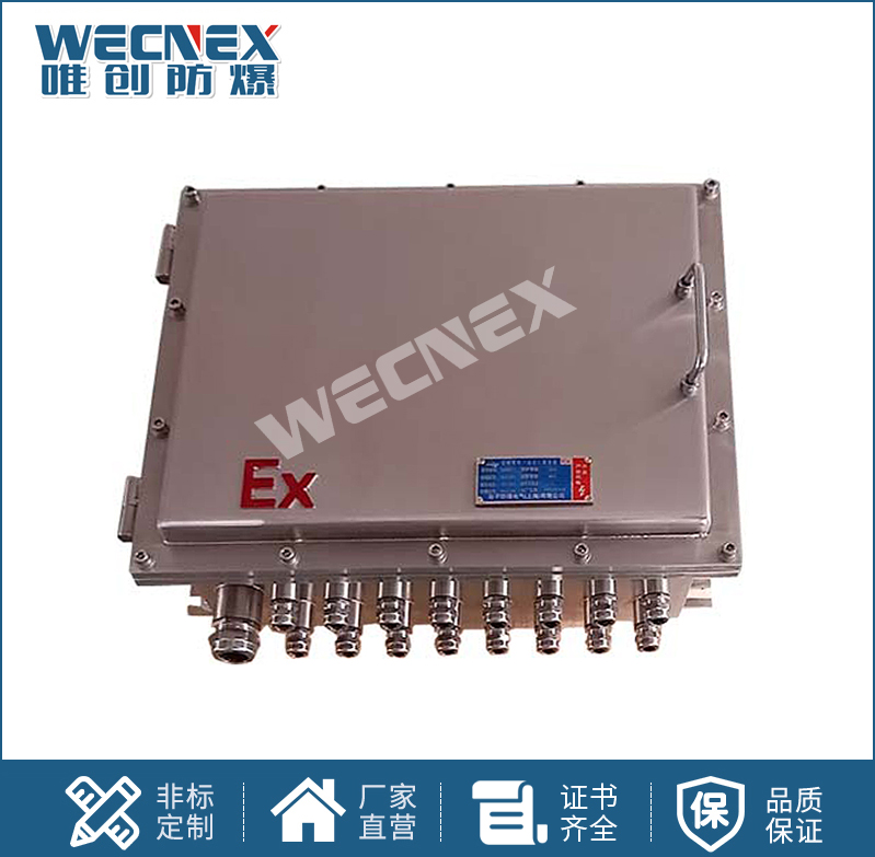 BXK不銹鋼 防爆控制箱