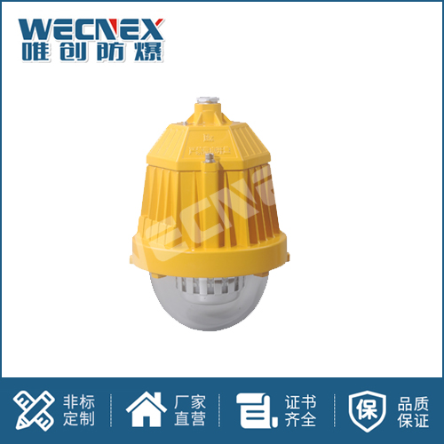 免維護防爆燈DFC-8765A 