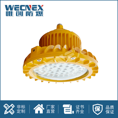 免維護防爆燈DFC-8103C