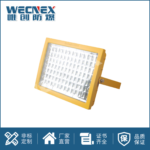 免維護防爆燈DFC-8111C 