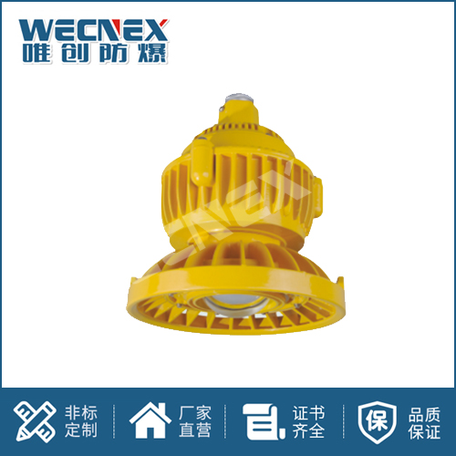 免維護防爆燈DFC-8101B