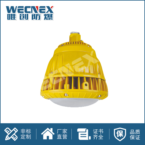 免維護防爆燈DFC-8105A 