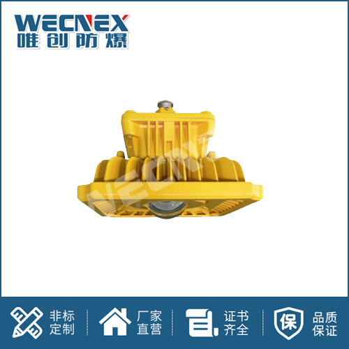 免維護(hù)防爆燈DFC-8102A 