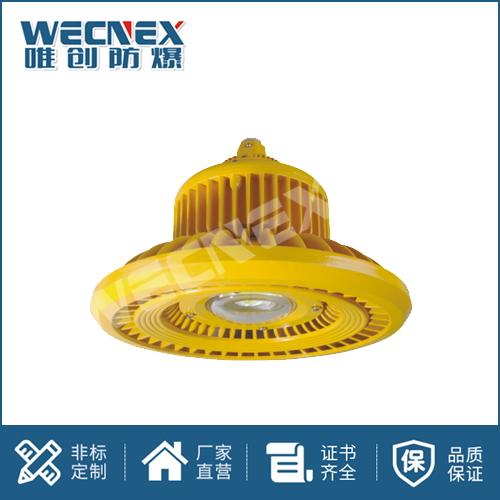免維護防爆燈DFC-8101D 