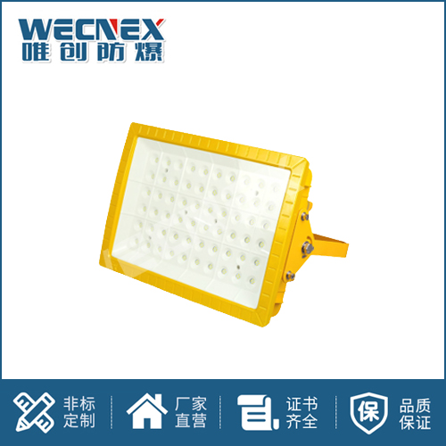 免維護防爆燈DFC-8111B 