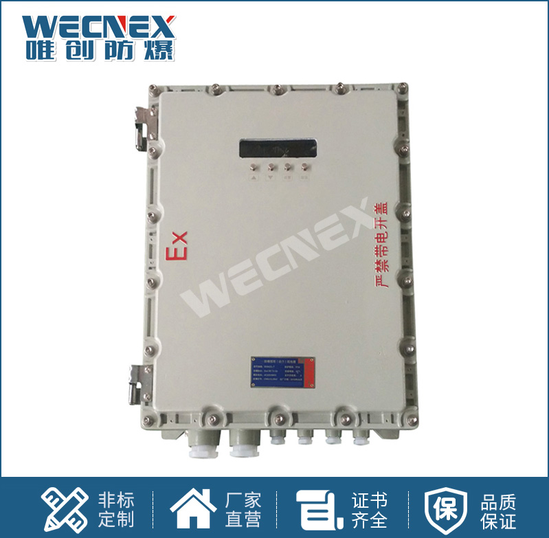 BXK 防爆儀表箱