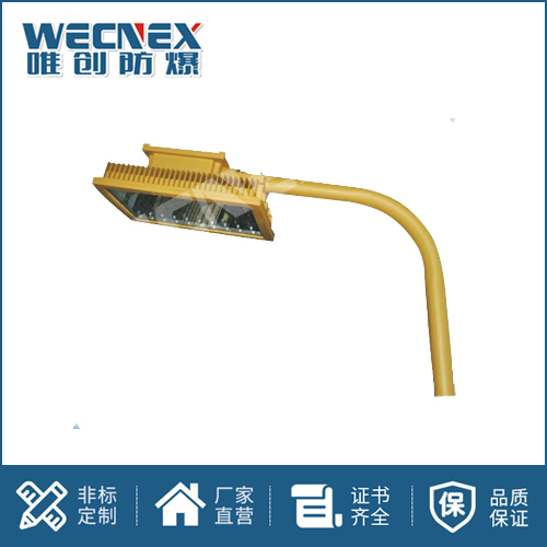 免維護防爆燈DFC-8611B 