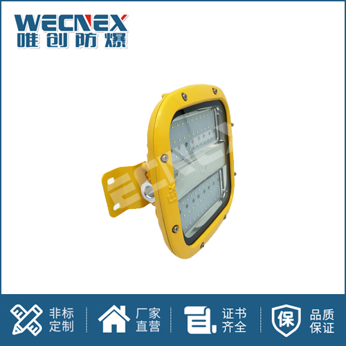 免維護防爆燈DFC-8123B 