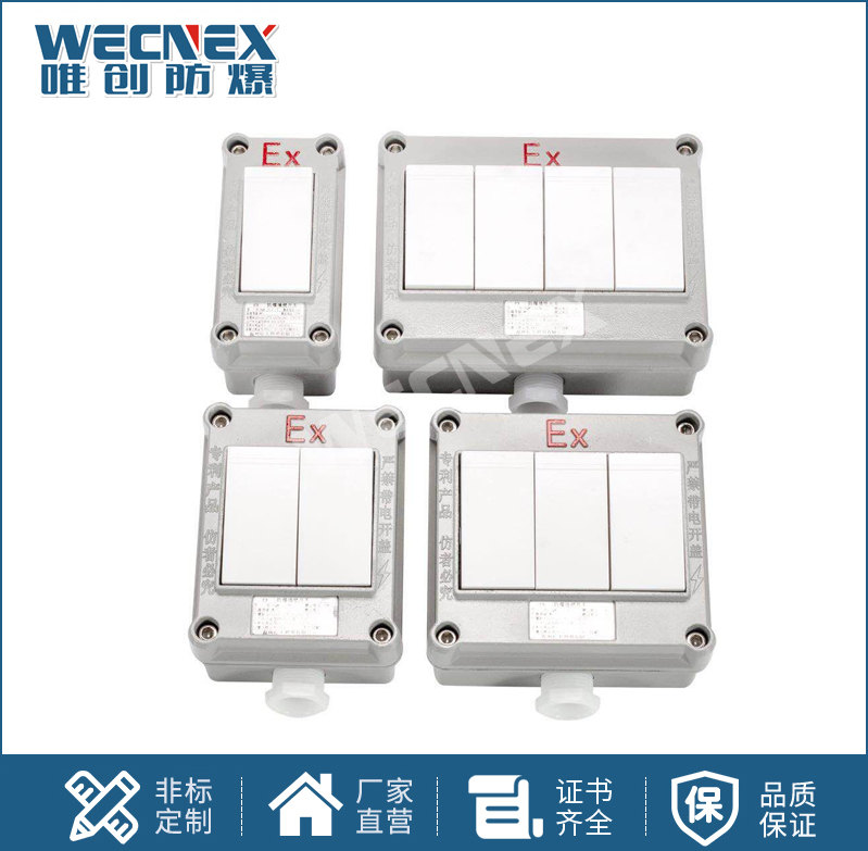 BQM防爆墻壁開關
